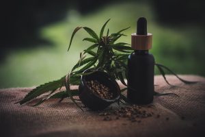 CBD als ondersteuning bij dementie: wat zegt de wetenschap?